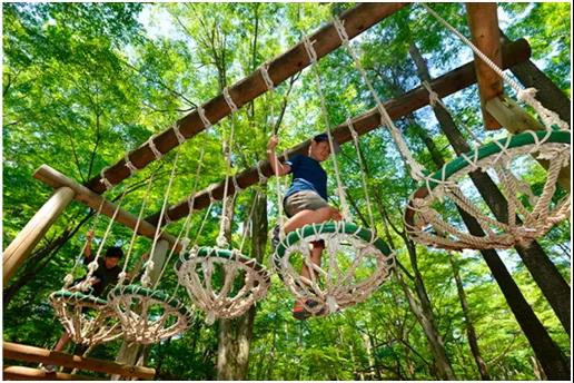 鼎創(chuàng)分享 | 打卡網(wǎng)紅叢林穿越：驚險(xiǎn)刺激好玩！