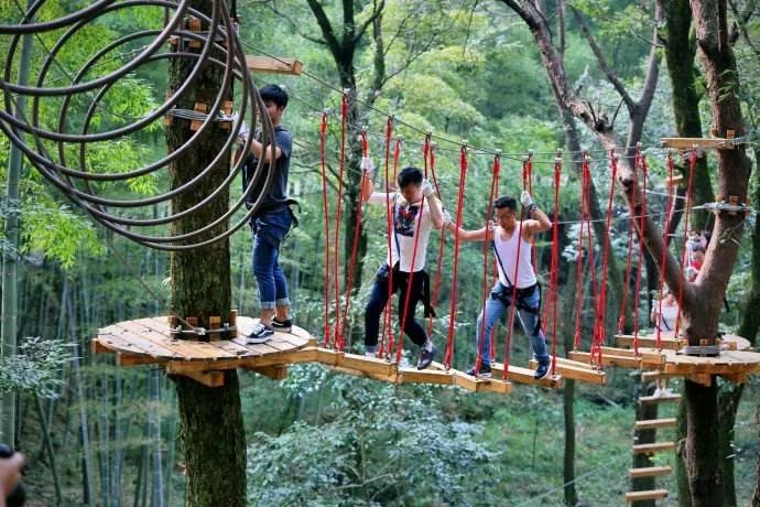 叢林穿越好玩刺激，等你來(lái)挑戰(zhàn)！