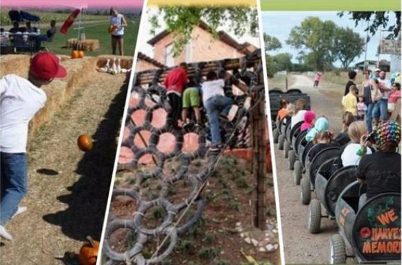 做親子農(nóng)莊，規(guī)劃建設(shè)有什么特殊性？怎么做到成本少、回頭客多？