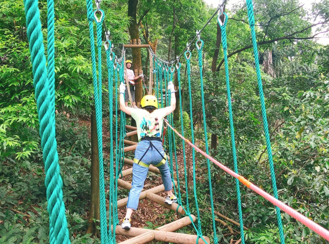 d3 03cc5cb27c211c05f81bbeab53eda3e7.jpg