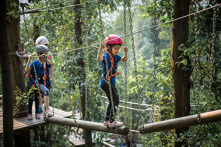 8b3a90c14697027c1589d64b13ef8ccd 1e462629ad3fe438b476c672ddce3833.jpg