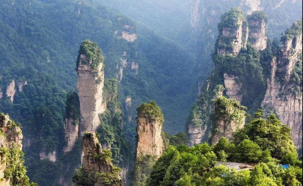 3g 60ea106f66d5e0f3ee421860b7d17cf7.jpg