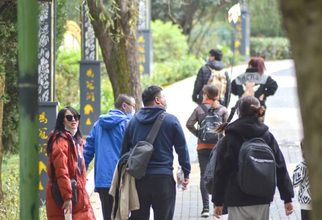 公司團(tuán)建|觀美景體驗(yàn)游樂項(xiàng)目 鼎創(chuàng)人攜手并肩筑夢前行