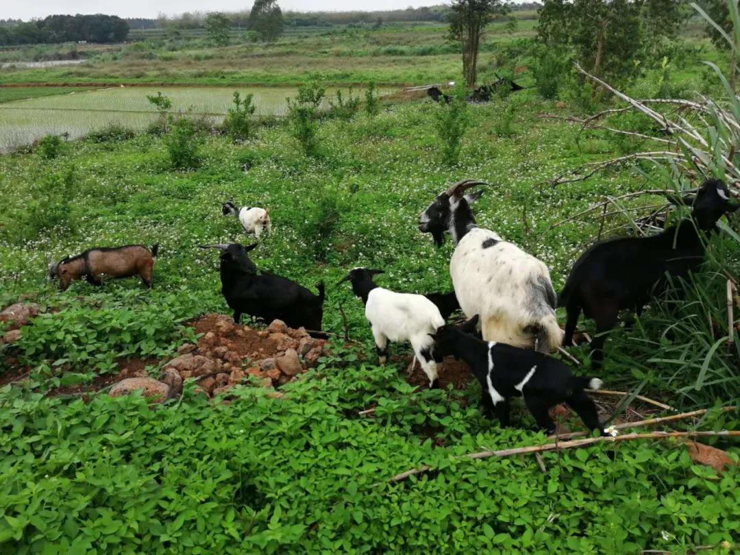了解農(nóng)莊選址4大關(guān)鍵點，掌握避坑指南