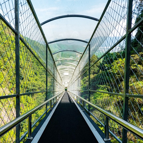 0121d1 a8d76e312f45f1d77b7cebff3d53c812.jpg