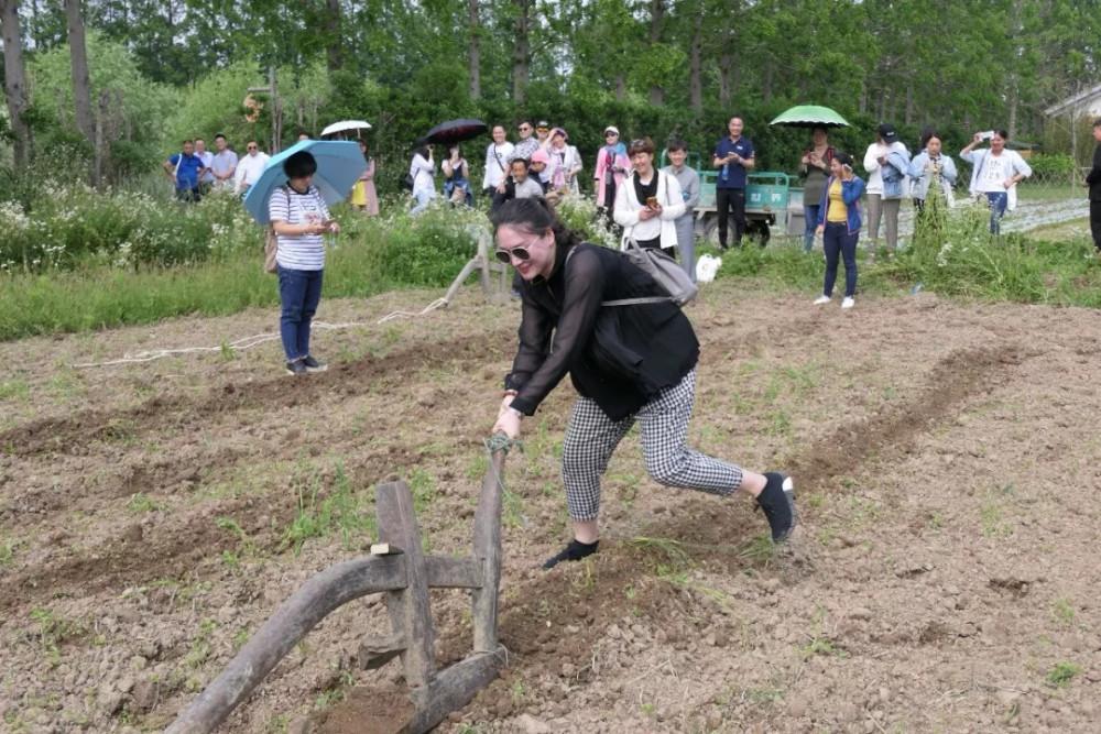 做親子農(nóng)莊，這些建設(shè)要點(diǎn)一定要掌握，反之會(huì)增加投資成本！