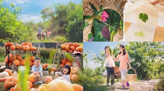 32 df1f4f97331b6c076c530c6ee6fb52af.jpeg