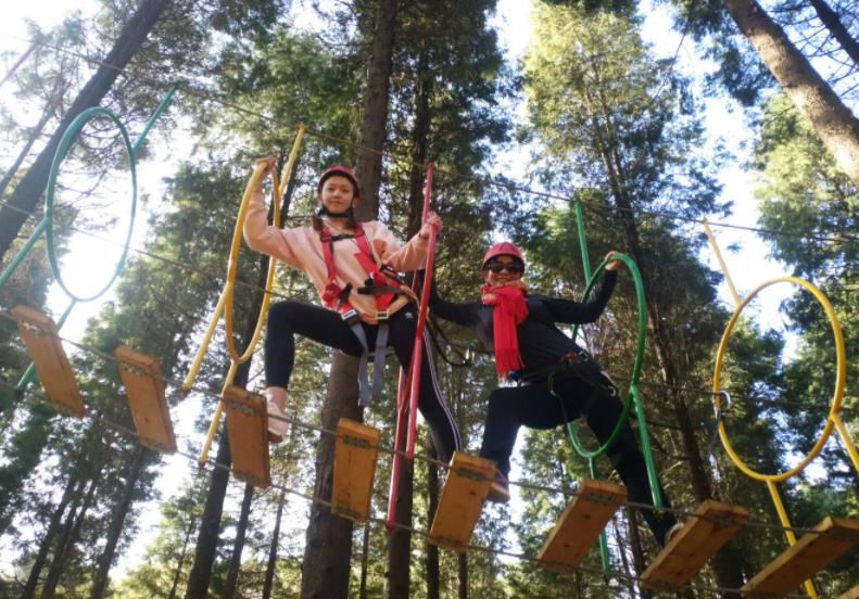 有樹林的場地怎么賺錢？