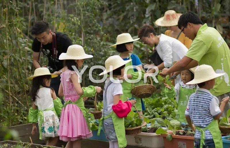 戶(hù)外兒童樂(lè)園設(shè)計(jì)│農(nóng)莊如何做好規(guī)劃設(shè)計(jì)？